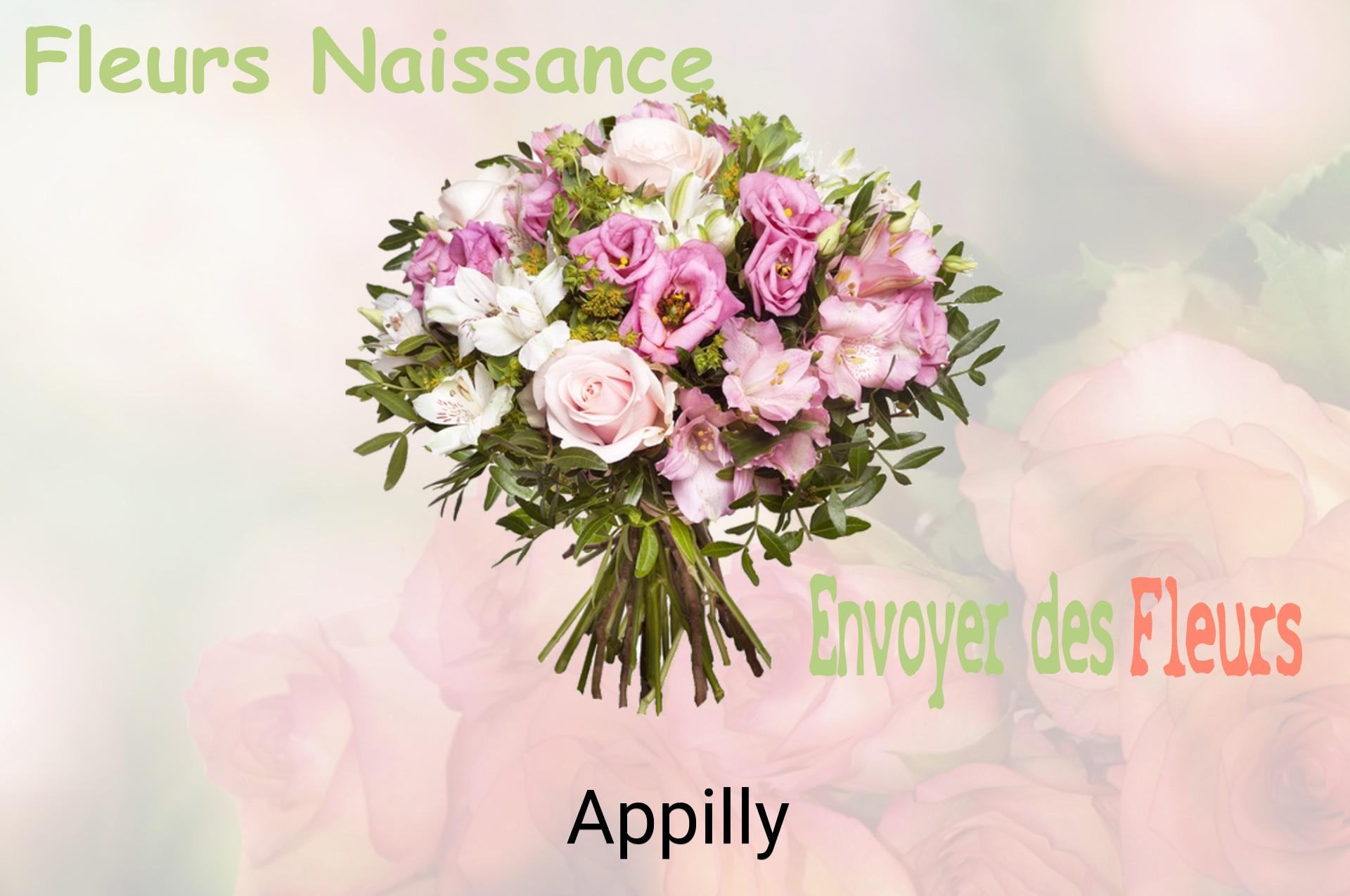 Bouquet de fleurs de naissance livré à Appilly